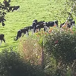 Annaswood B&B 4*