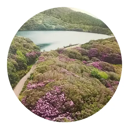 Annaswood Alojamento de Acomodação e Pequeno-almoço