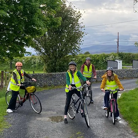 Annaswood & Tours Cahir