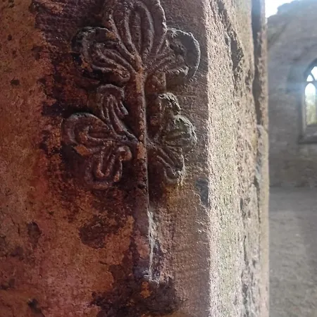 Annaswood קאהיר