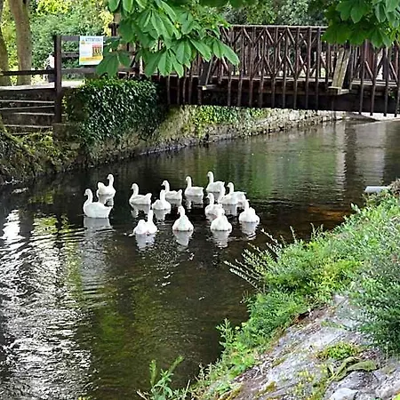 Annaswood & Tours Cahir