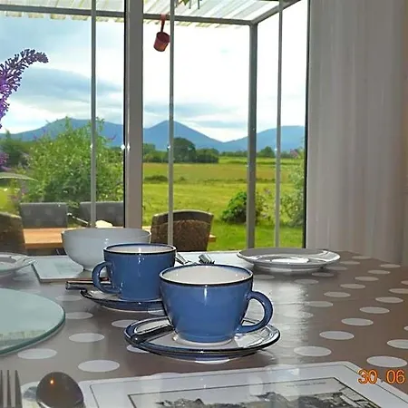 Annaswood & Tours 4* Cahir