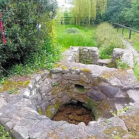 Annaswood & Walking Tour Cahir