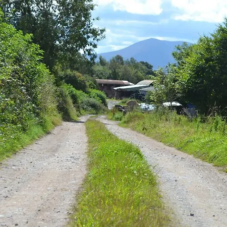 Annaswood 4* Cahir