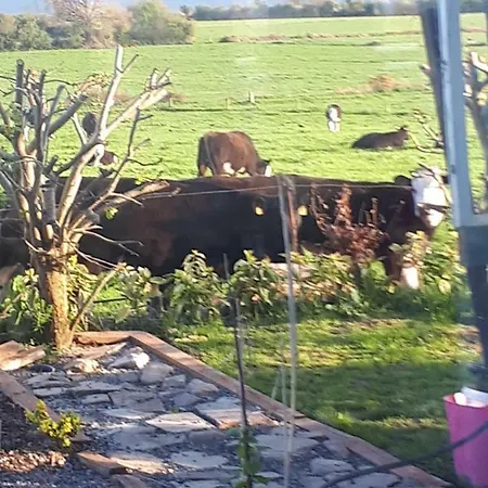 Annaswood 4* Cahir