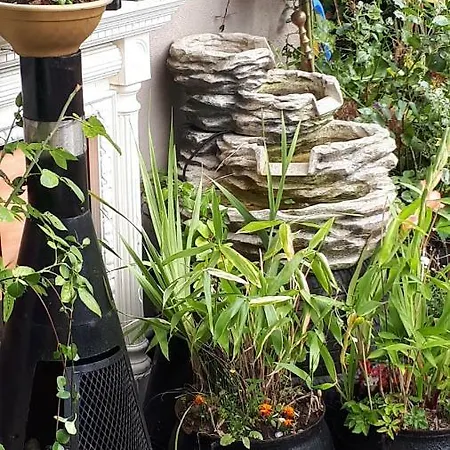 Annaswood Alojamento de Acomodação e Pequeno-almoço Cahir