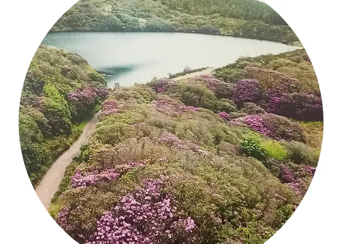 Annaswood Bed & Breakfast