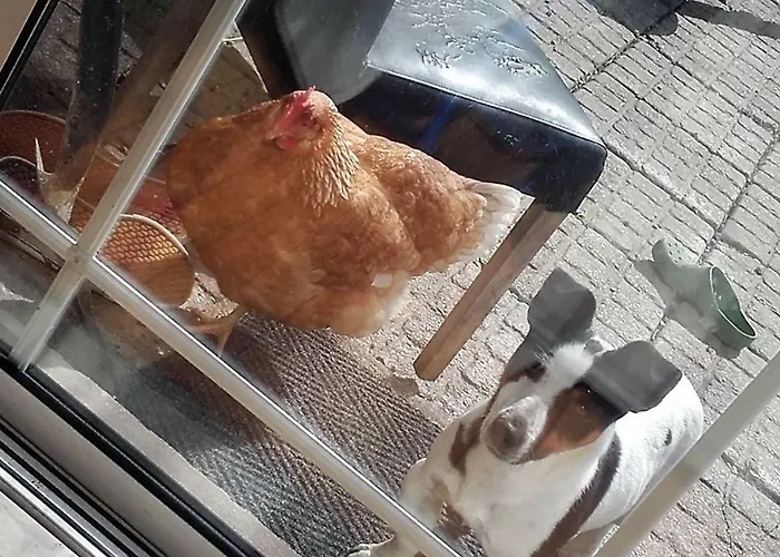 Annaswood Bed & Breakfast 4*